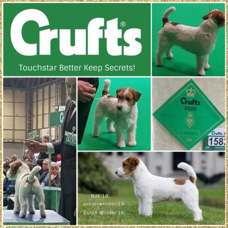 crufts_collage