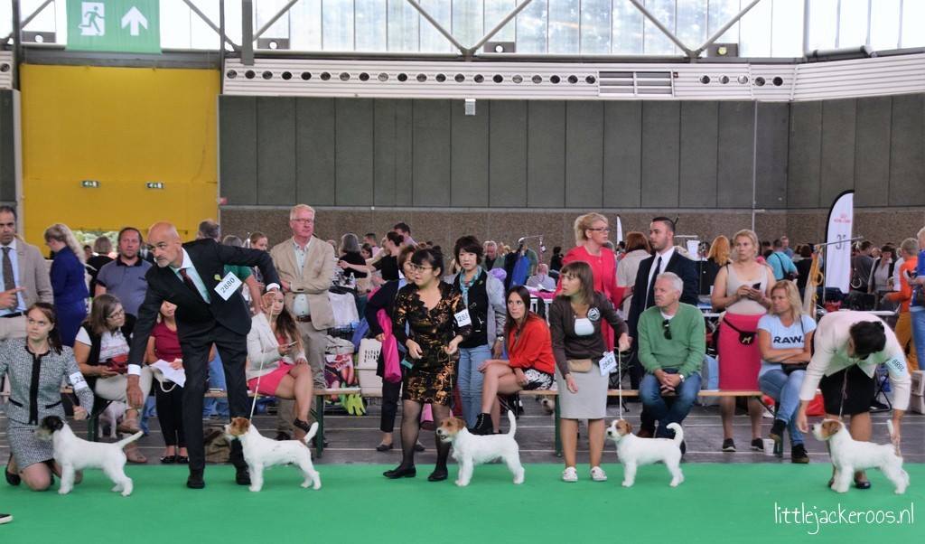 Worlddogshow 2018
